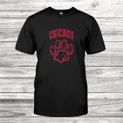 Chicago Baseball Vintage Baseball Gift Proud Sport Fan Cool Premium Unisex T-Shirt