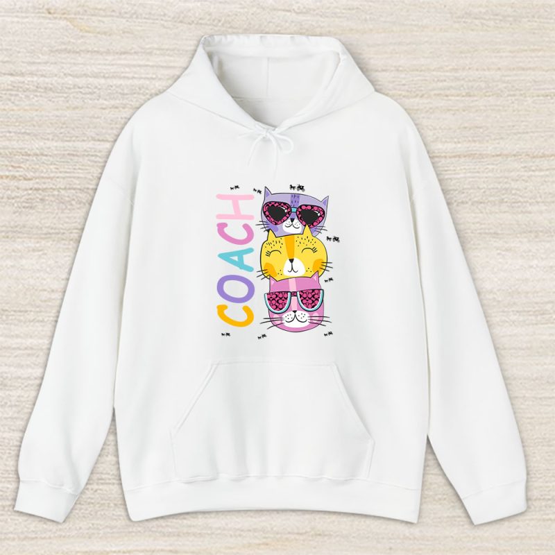 Cartoon Cats In Glasses Fruits Coach Brand Unisex Hoodie TAH6243