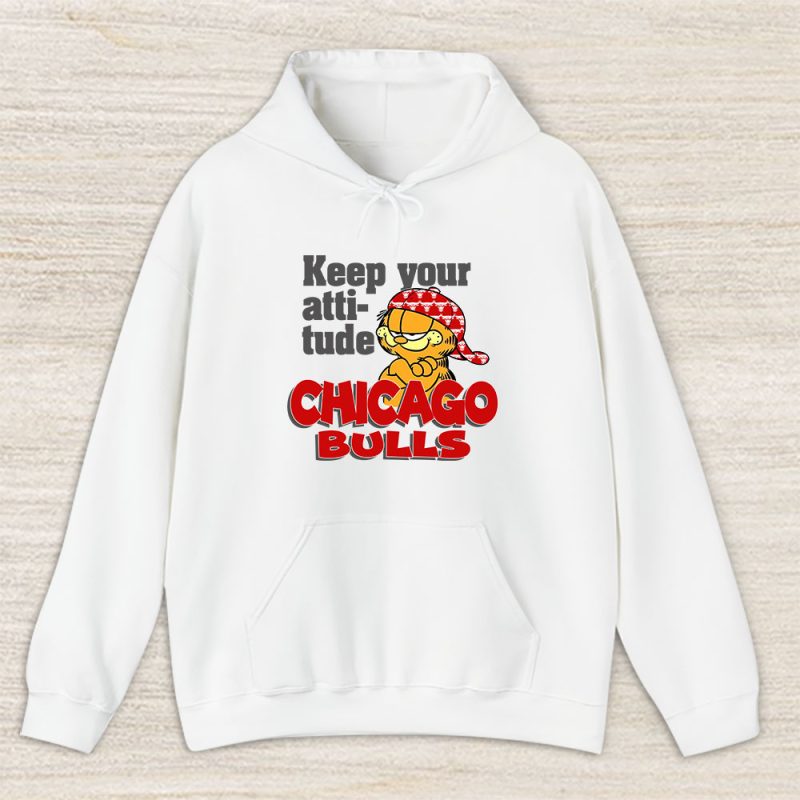 Garfield X Chicago Bulls Team X NBA X Basketball Unisex Hoodie TAH6793