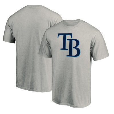 Tampa Bay Rays Heathered Gray Team Logo Unisex T-Shirt Cotton Tee