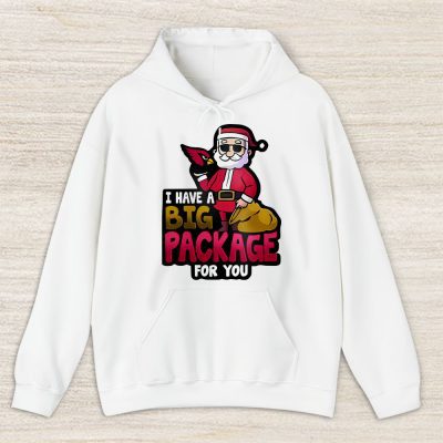 Arizona Cardinals Merry Christmas NFL Santa Gift I Have A Big Package For You Unisex Hoodie TAS20169