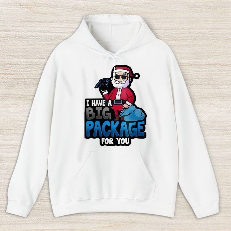 Carolina Panthers Merry Christmas NFL Santa Gift I Have A Big Package For You Unisex Hoodie TAS20309