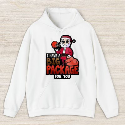 Cleveland Browns Merry Christmas NFL Santa Gift I Have A Big Package For You Unisex Hoodie TAS20414