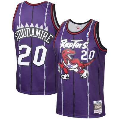 Damon Stoudamire Toronto Raptors 1995/96 Hardwood Classics Swingman Jersey - Purple