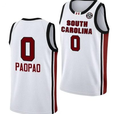 South Carolina Fighting Gamecocks #0 Te Hina Paopao White Stitched Jersey