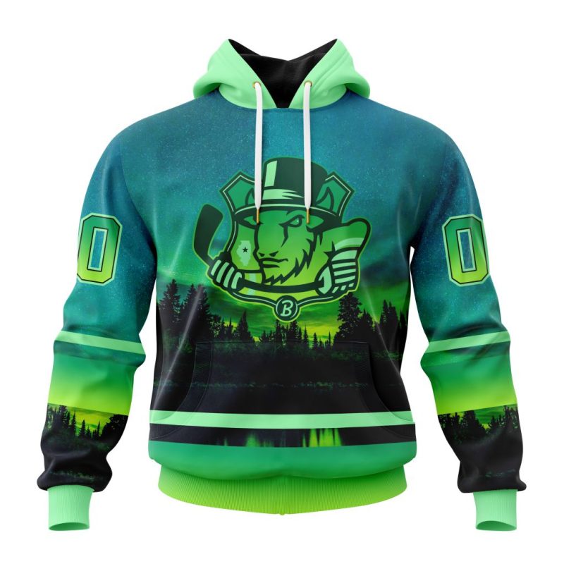 ECHL Bloomington Bison Design With Northern Lights Unisex Hoodie