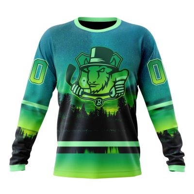 ECHL Bloomington Bison Design With Northern Lights Performance Long Sleeve Shirt